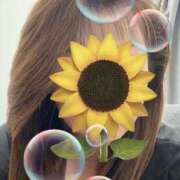 ヒメ日記 2025/09/03 15:02 投稿 福本実咲(ふくもとみさき) 姫路マダム大奥