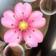 ヒメ日記 2025/09/09 20:02 投稿 福本実咲(ふくもとみさき) 姫路マダム大奥