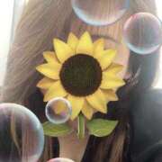 ヒメ日記 2025/09/10 06:52 投稿 福本実咲(ふくもとみさき) 姫路マダム大奥