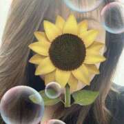 ヒメ日記 2025/11/07 20:12 投稿 福本実咲(ふくもとみさき) 姫路マダム大奥