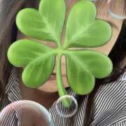 ヒメ日記 2025/12/09 07:32 投稿 福本実咲(ふくもとみさき) 姫路マダム大奥