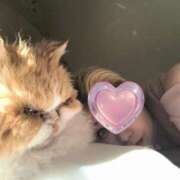 ヒメ日記 2025/04/18 19:03 投稿 みおり 熟女の風俗最終章 八王子店