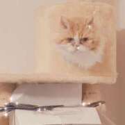 ヒメ日記 2026/01/05 20:33 投稿 みおり 熟女の風俗最終章 八王子店