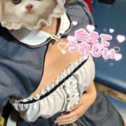 ヒメ日記 2025/03/29 10:05 投稿 北村ことり ウルトラハピネス