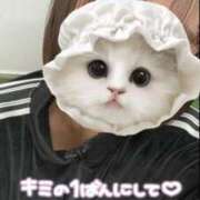 ヒメ日記 2025/03/30 12:13 投稿 北村ことり ウルトラハピネス