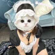 ヒメ日記 2025/04/01 09:59 投稿 北村ことり ウルトラハピネス