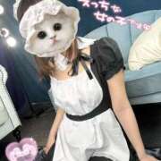 ヒメ日記 2025/04/01 15:29 投稿 北村ことり ウルトラハピネス