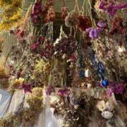 ヒメ日記 2025/04/20 18:09 投稿 北村ことり ウルトラハピネス