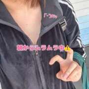 ヒメ日記 2025/05/08 10:29 投稿 北村ことり ウルトラハピネス