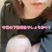 ヒメ日記 2025/05/23 10:09 投稿 北村ことり ウルトラハピネス