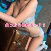 ヒメ日記 2025/06/02 07:32 投稿 北村ことり ウルトラハピネス