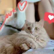 ヒメ日記 2025/04/23 23:03 投稿 にな Tokyo fairy land-東京フェアリーランド-