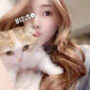 ヒメ日記 2025/06/04 12:32 投稿 にな Tokyo fairy land-東京フェアリーランド-