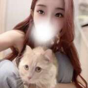 ヒメ日記 2026/04/06 22:11 投稿 にな Tokyo fairy land-東京フェアリーランド-