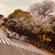 ヒメ日記 2025/04/02 16:55 投稿 七瀬 品川しろうさぎ