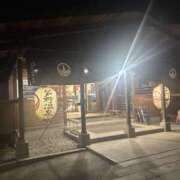 ヒメ日記 2025/04/22 17:24 投稿 七瀬 品川しろうさぎ