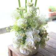 ヒメ日記 2025/04/23 16:36 投稿 七瀬 品川しろうさぎ