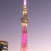 ヒメ日記 2025/05/05 03:48 投稿 七瀬 品川しろうさぎ