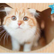 ヒメ日記 2025/05/21 04:44 投稿 七瀬 品川しろうさぎ