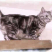 ヒメ日記 2025/05/31 11:07 投稿 七瀬 品川しろうさぎ