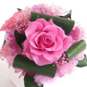 ヒメ日記 2025/06/02 05:31 投稿 七瀬 品川しろうさぎ