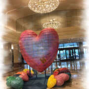 ヒメ日記 2025/06/03 06:10 投稿 七瀬 品川しろうさぎ