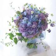 ヒメ日記 2025/06/15 05:49 投稿 七瀬 品川しろうさぎ