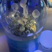 ヒメ日記 2025/08/20 15:37 投稿 七瀬 品川しろうさぎ