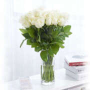 ヒメ日記 2025/08/26 05:10 投稿 七瀬 品川しろうさぎ