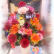 ヒメ日記 2025/09/25 18:28 投稿 七瀬 品川しろうさぎ