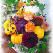 ヒメ日記 2025/10/10 12:13 投稿 七瀬 品川しろうさぎ