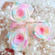 ヒメ日記 2025/10/20 13:00 投稿 七瀬 品川しろうさぎ