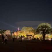 ヒメ日記 2025/11/02 14:39 投稿 七瀬 品川しろうさぎ