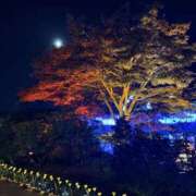 ヒメ日記 2025/11/06 06:17 投稿 七瀬 品川しろうさぎ