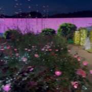 ヒメ日記 2025/11/23 14:50 投稿 七瀬 品川しろうさぎ