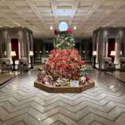 ヒメ日記 2025/11/26 16:12 投稿 七瀬 品川しろうさぎ