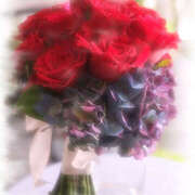 ヒメ日記 2025/11/29 11:48 投稿 七瀬 品川しろうさぎ