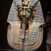 ヒメ日記 2025/12/10 10:37 投稿 七瀬 品川しろうさぎ