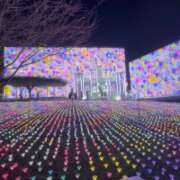 ヒメ日記 2025/12/13 17:02 投稿 七瀬 品川しろうさぎ