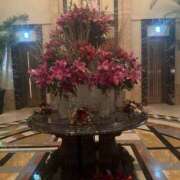 ヒメ日記 2025/12/18 11:19 投稿 七瀬 品川しろうさぎ