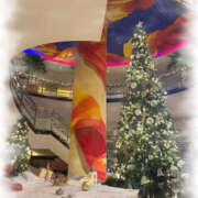 ヒメ日記 2025/12/21 18:26 投稿 七瀬 品川しろうさぎ