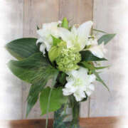 ヒメ日記 2025/12/24 06:15 投稿 七瀬 品川しろうさぎ