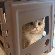 ヒメ日記 2025/05/19 09:36 投稿 乙葉 川崎人妻城