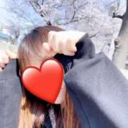 ヒメ日記 2025/03/31 12:19 投稿 ここあ ウルトラドリーム