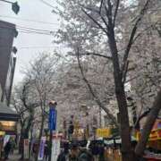 ヒメ日記 2025/03/29 16:53 投稿 ちはる 夢幻 取手店