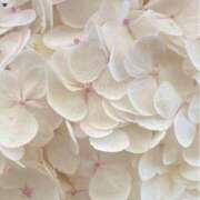 ヒメ日記 2025/05/05 21:29 投稿 鈴(すず) グランドオペラ横浜