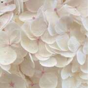 ヒメ日記 2025/05/07 11:18 投稿 鈴(すず) グランドオペラ横浜