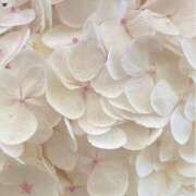 ヒメ日記 2025/06/08 18:27 投稿 鈴(すず) グランドオペラ横浜