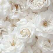 ヒメ日記 2025/06/09 12:21 投稿 鈴(すず) グランドオペラ横浜