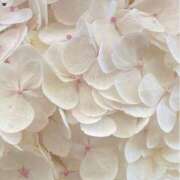 ヒメ日記 2025/06/16 16:41 投稿 鈴(すず) グランドオペラ横浜